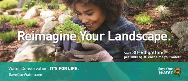 Reimagine Your Landscape - SaveOurWater.com