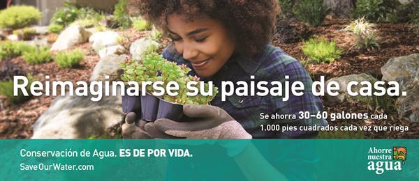 Reimaginarse su paisaje de casa - SaveOurWater.com