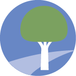 Tree icon